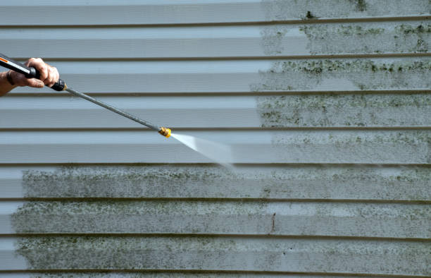 Best Gutter Cleaning  in Shady Hollow, TX