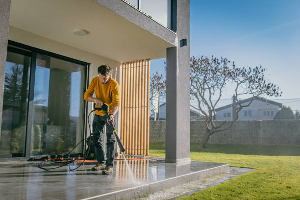 Best Solar Panel Cleaning  in Shady Hollow, TX